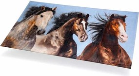TipTrade Bavlnená froté osuška 70x140 cm - Divoké kone v prírode