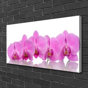 Obraz Canvas Ružová orchidea kvety 140x70 cm