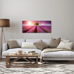 Obraz poľa s levanduľami (120x50 cm)
