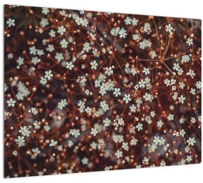 Sklenený obraz kvetu Nezábudky lesnej (70x50 cm)