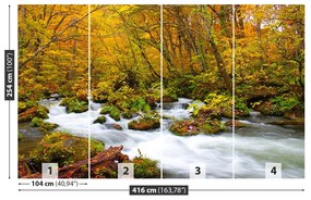 Fototapeta Vliesová Rieka v japonsku 250x104 cm