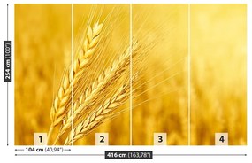 Fototapeta Vliesová Klas pšenice 250x104 cm