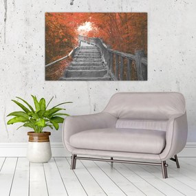 Obraz - Schody v prírode, oranžová (90x60 cm)