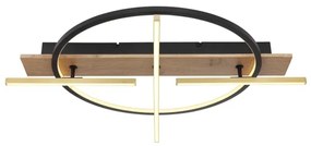 Globo 67295D1 - LED Stropné svietidlo BEATRIX LED/44W/230V