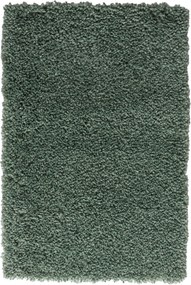 My Flair, Kusový koberec My Shaggy hellgrün, 160x230, zelená, chodba / predsieň