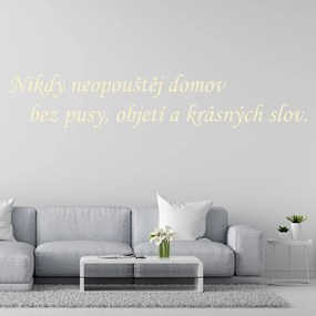 Veselá Stena Samolepka na stenu na stenu Nikdy neopúšťaj domov bez pusy, objatia a krásnych slov Farba: černá
