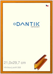 DANTIK rám na obraz 21x29,7 | ALU Oranžová Citrin broušená (Sklo Čiré)