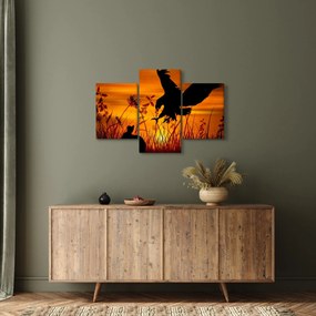 Obraz siluety dravca (90x60 cm)