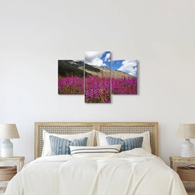 Obraz scenérie horské lúky (90x60 cm)