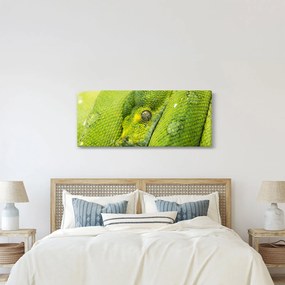 Obraz hada (120x50 cm)