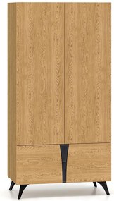 Skriňa Toscania 01 Dub /jaseň čierny/sklo