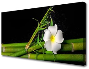 Obraz na plátne Bambus kvet rastlina 140x70 cm