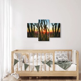 Obraz - Rastliny (90x60 cm)