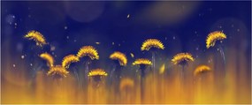 Obraz - Púpavy (120x50 cm)