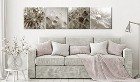 Artgeist Obraz - Grey Dandelion Veľkosť: 80x80, Verzia: Na talianskom plátne