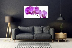 Obraz na akrylátovom skle Kvety 100x50 cm