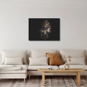 Sklenený obraz sovy (70x50 cm)