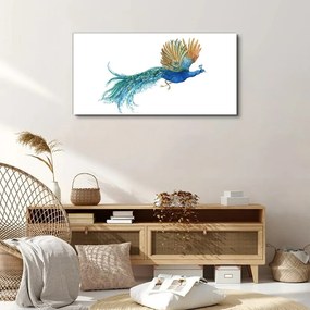 Obraz canvas zvieracie vták páv