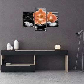 Obraz - Oranžové orchidey (90x60 cm)