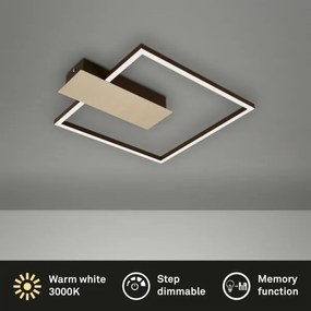 Briloner 3544-017 - LED Stmievateľné stropné svietidlo NICO LED/12W/230V zlatá