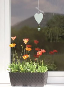 Truhlík s miskou RICHARD vyšší antracit