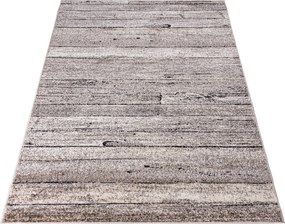 TA Koberec 3041 1 244 PETRA Rozmer: 120x170 cm