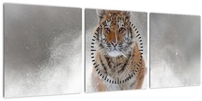 Obraz bežiaceho tigra v snehu (s hodinami) (90x30 cm)