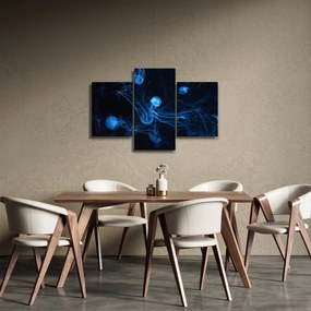 Obraz - Medúzy (90x60 cm)