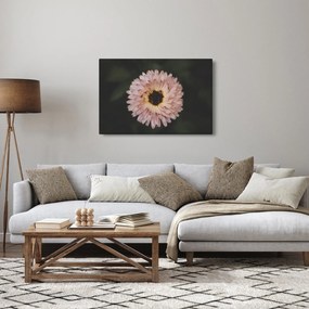 Obraz oranžovej kvetiny (90x60 cm)