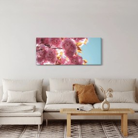 Obraz - Čerešňový kvet (120x50 cm)