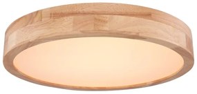 Globo 41745-24 - LED Stmievateľné stropné svietidlo RAINER LED/24W/230V + DO