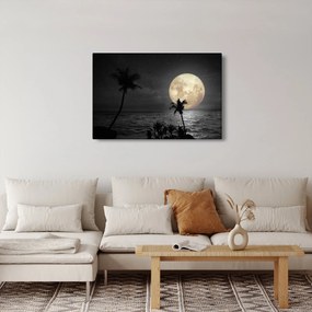Obraz - Pláž za splnu v šedých tónoch (90x60 cm)
