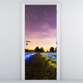 Fototapeta na dvere - Farebné pole (95x205cm)