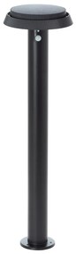 Brilliant - LED Solárna lampa so senzorom ALVERO LED/4W/3,7V 70 cm IP44 čierna