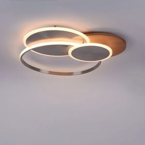 Paul Neuhaus 8328-79 - LED Stmievateľné stropné svietidlo PALMA LED/50W/230V + DO