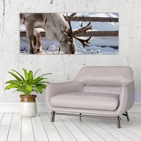 Obraz - Sob (120x50 cm)