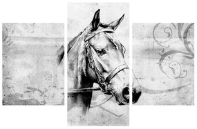 Obraz - portrét koňa (90x60 cm)
