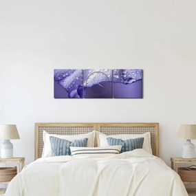 Obraz - Okvetný lístok s kvapkami (s hodinami) (90x30 cm)