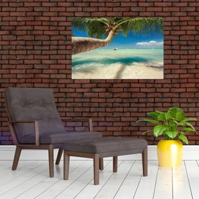 Obraz - Čisté more s palmou (90x60 cm)