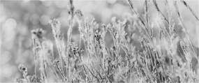 Obraz - Chladná zima (120x50 cm)