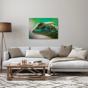 Detailný sklenený obraz jaštera (70x50 cm)