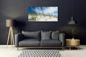 Obraz na akrylátovom skle Pláž príroda 100x50 cm