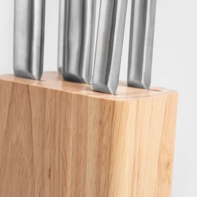 Sada piatich nožov MASTERSET strieborná 744075