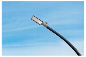 Germina LED pouličná lampa / lampáš HERMETIC 30W sivá 3000lm 5000K