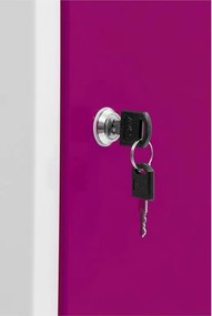 Kovová šatníková skriňa Trestles SS2M 1800x600x500 mm, 2 oddiely, fialové dvere Podnož: bez podnože, Zámok: cylindrický