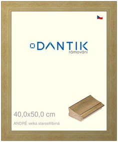 DANTIK rám na obraz 40x50 | ANDRÉ velká starostříbrná (Plexi Čiré)