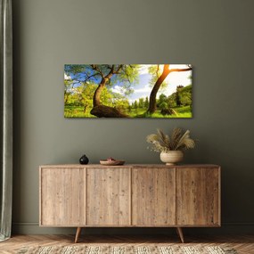 Obraz jarnej lúky (120x50 cm)