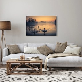 Obraz labutí na vode v hmle (90x60 cm)