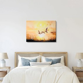 Obraz - Žeriavy pri západe slnka (70x50 cm)