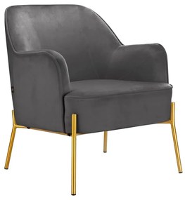 Sivé zamatové kreslo Runa – Støraa